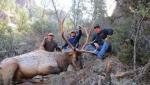 Arizona Elk Hunts 4