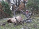 Arizona Elk Hunts 5