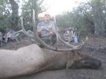 Arizona Elk Hunts 2