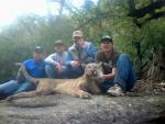 Arizona Mountain Lion Hunts 1