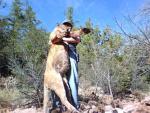 Arizona Mountain Lion Hunts 4