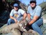 Arizona Mountain Lion Hunts 7