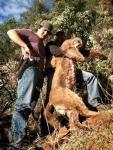 Arizona Mountain Lion Hunts 9