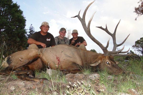 AZ Elk Hunts 2