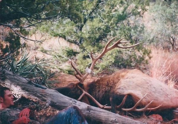 AZ Elk Hunts 9