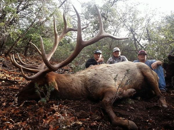 AZ Elk Hunts 15