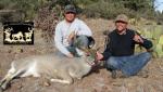 Coues Whitetail Hunts 26