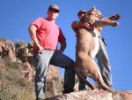 Mountain Lion Hunts 2