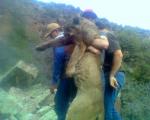 Mountain Lion Hunts 19