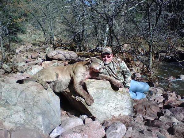 Mountain Lion Hunts 25