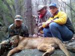 Mountain Lion Hunts 28