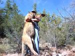 Mountain Lion Hunts 32