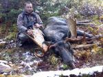 British Columbia Moose Hunts 4