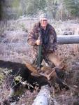 British Columbia Moose Hunts 5