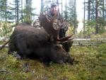 British Columbia Moose Hunts 7