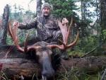 British Columbia Moose Hunts 11