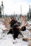 British Columbia Moose Hunts 10