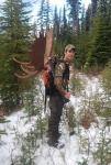 British Columbia Moose Hunts 13