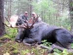 British Columbia Moose Hunts 8