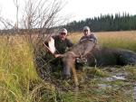 British Columbia Moose Hunts 14