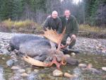 British Columbia Moose Hunts 20