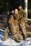 British Columbia Cougar and Lynx Hunts 6