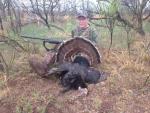 Oklahoma Turkey Hunts 19