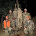 Oklahoma Hog and Predator Hunts