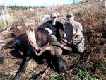 BC Moose Hunts 12