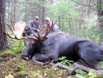 BC Moose Hunts 21