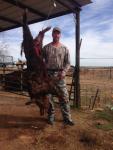 Oklahoma Hog Hunts 12