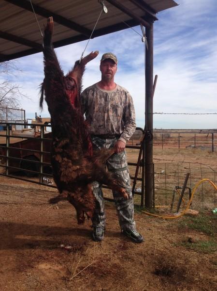 Oklahoma Hog Hunts 12