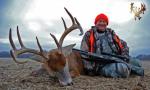 Illinois Whitetail Deer Hunts 1