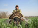 Illinois Turkey Hunts 3